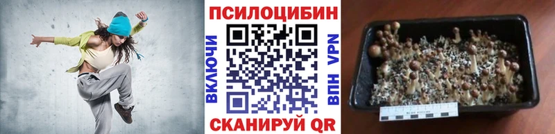 Галлюциногенные грибы Magic Shrooms купить наркотики сайты Энгельс